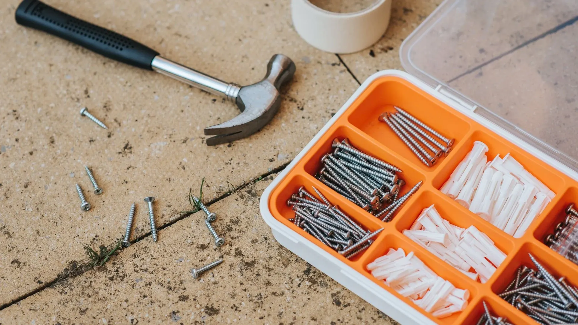 Sorted screws and tools in compartment box