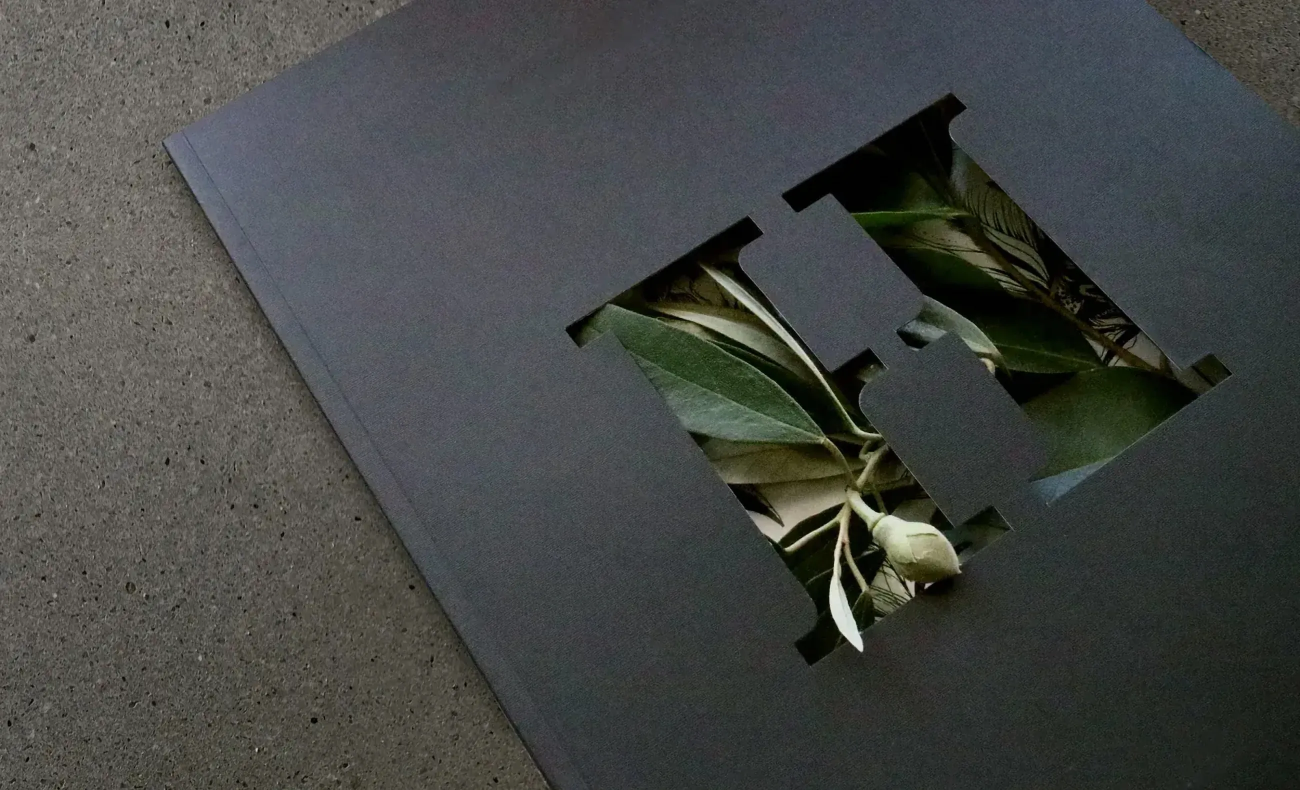 Hemingway brand identity