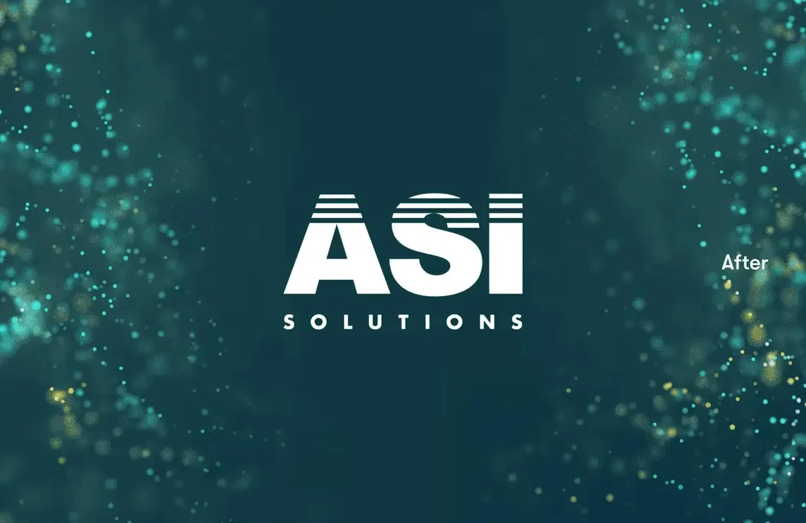 ASI Solutions, work sample