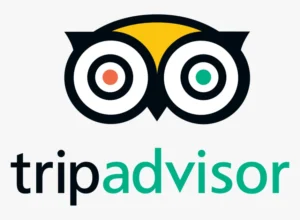 Tripadvisor Logo Owl Rebrand